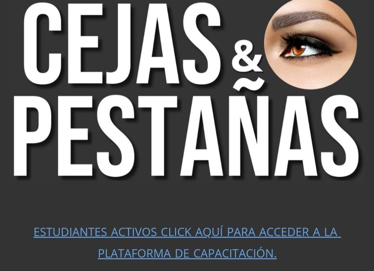 Producto MasterClass Cejas y Pestañas pelo a pelo