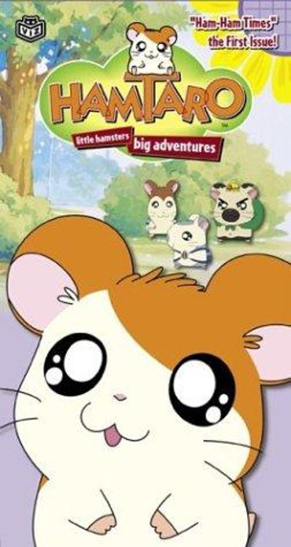 Serie Hamtaro: pequeños hámsteres, grandes aventuras