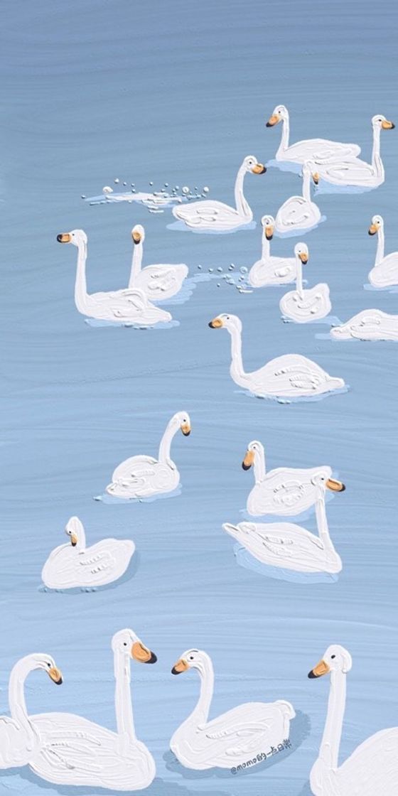 Fashion Wallpaper de cisnes 🦢 