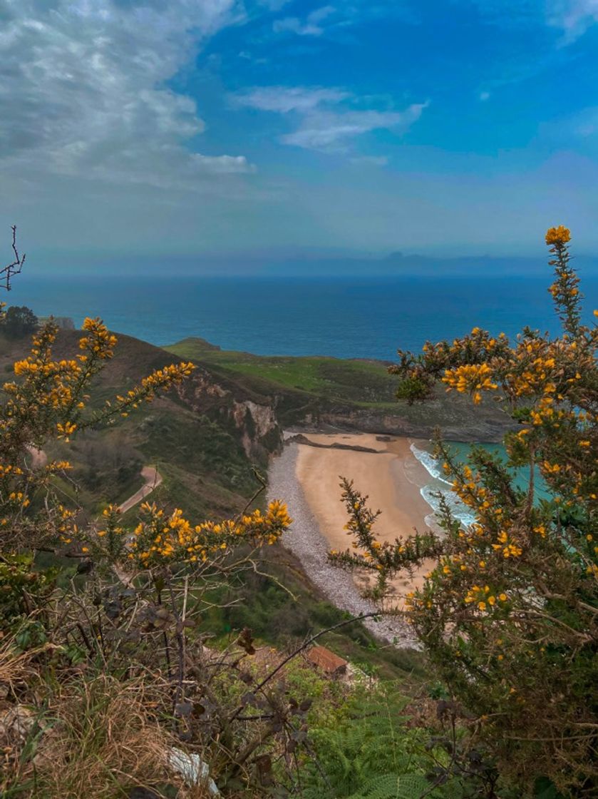 Lugar Playa Ballota