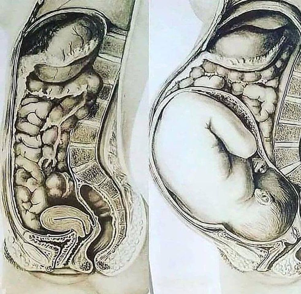 Moda Mudanças corporais que ocorrem durante a gravidez 🤰🏼 🙋‍♀️