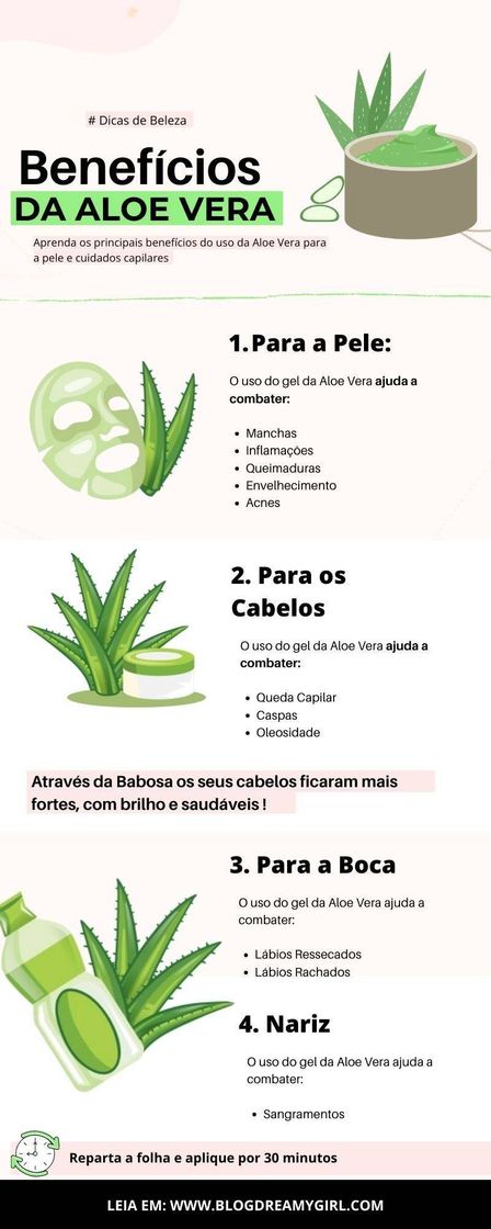 Moda Benefícios da aloe vera✨