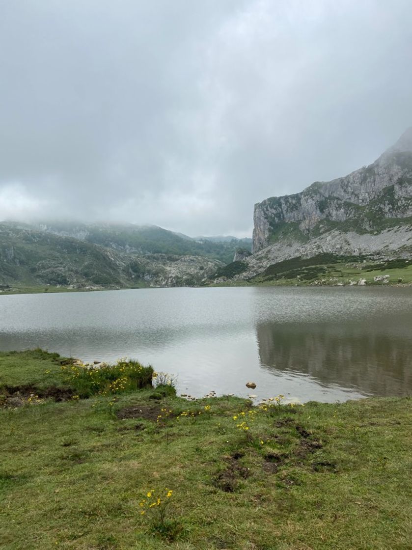 Lugar Lagos de Covadonga