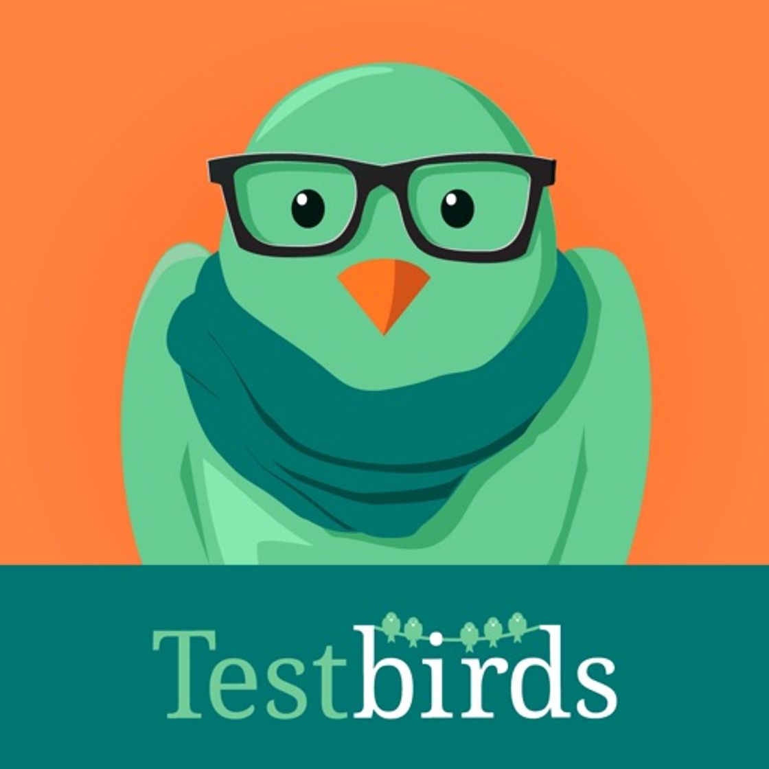 App Testbirds Companion