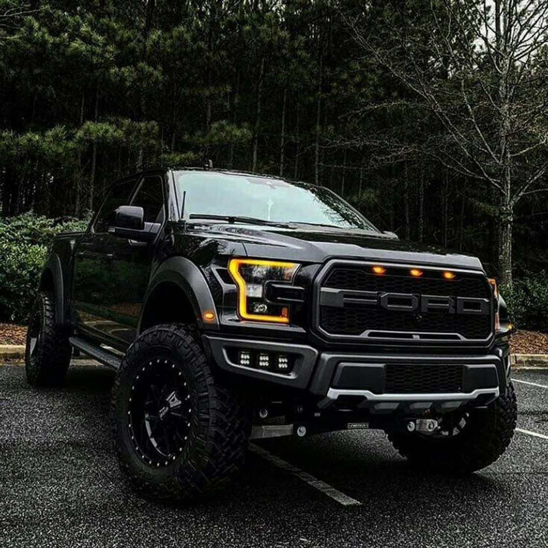 Fashion Carro ford raptor