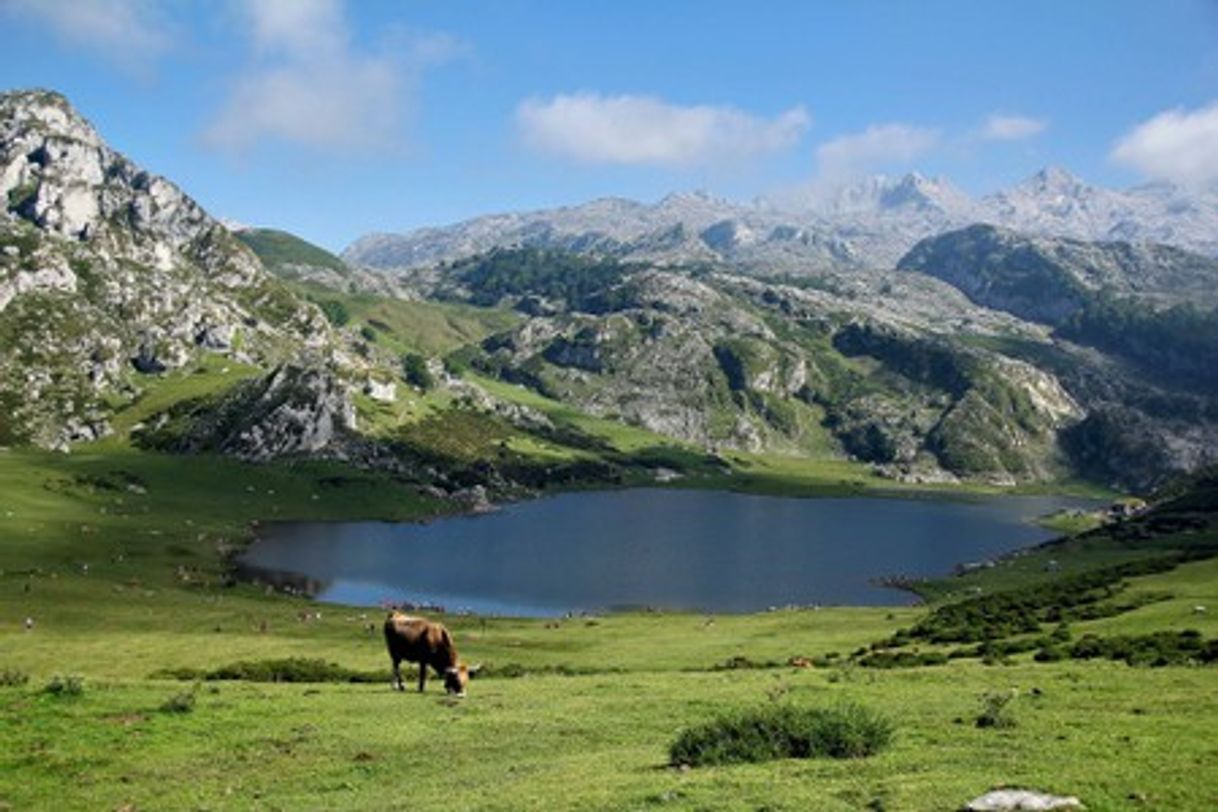 Place Picos de Europa