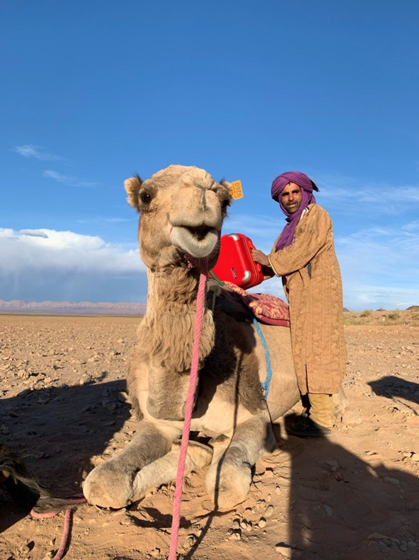 Lugar Desierto Zagora. tour dos dias