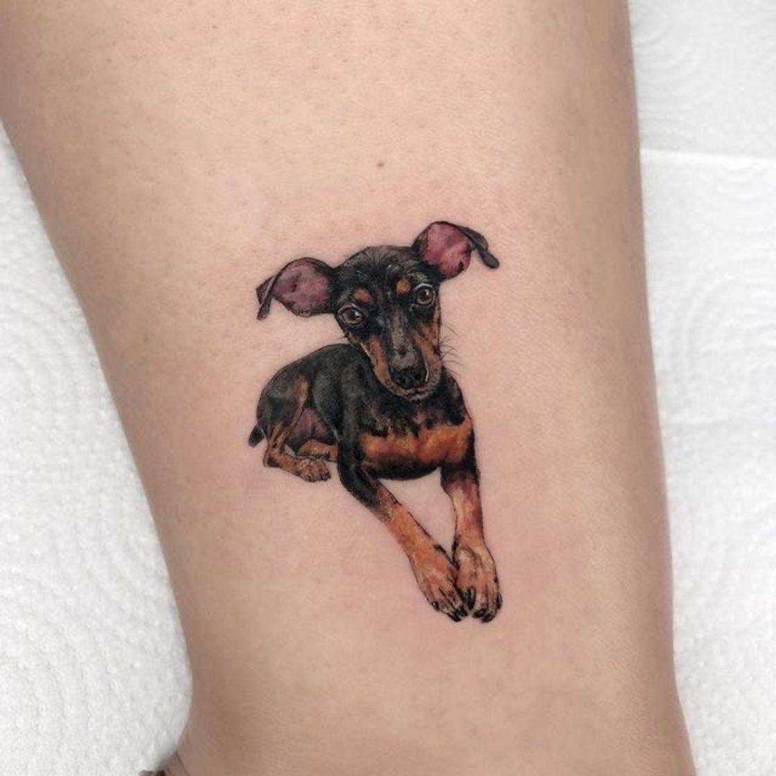 Fashion Tatuagem de Pinscher