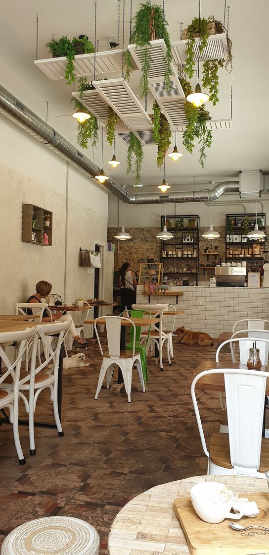 Restaurantes Catlove Coffee