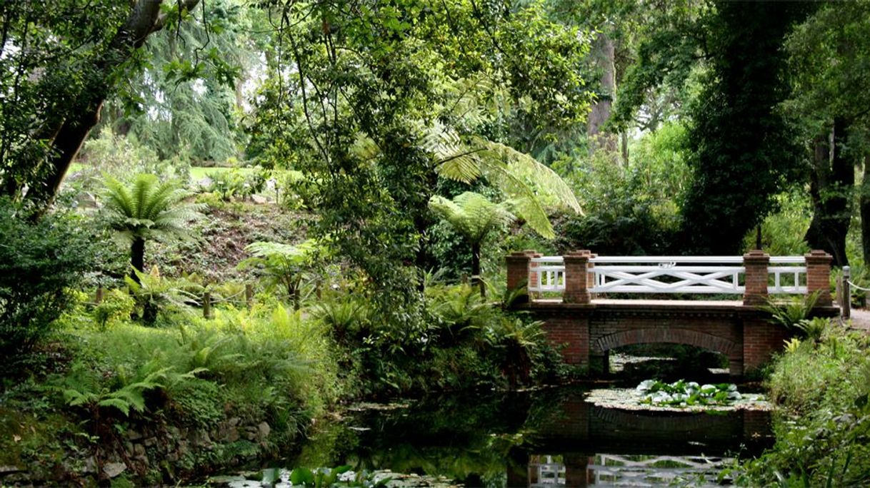 Place Jardín Botánico Atlántico