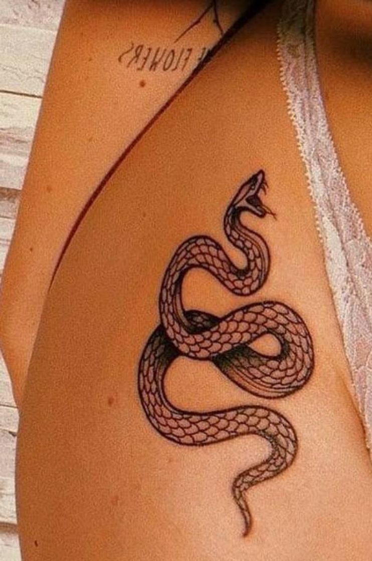 Social 🐍