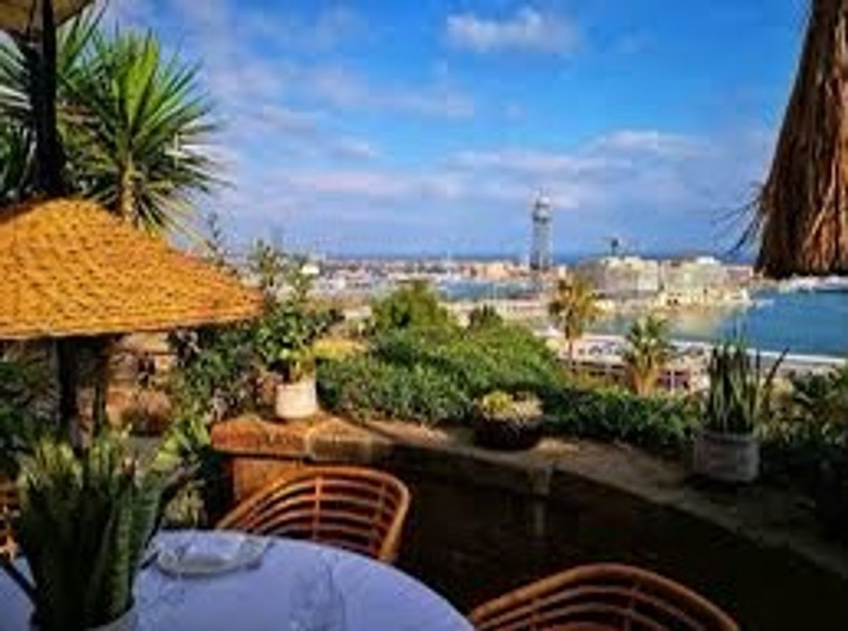 Restaurants Terraza Martínez