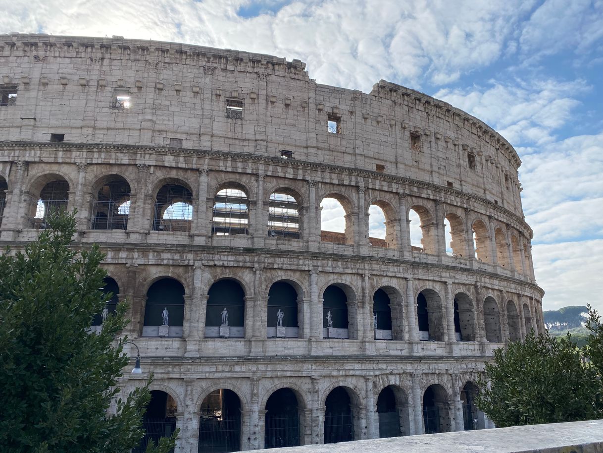 Place Coliseo de Roma