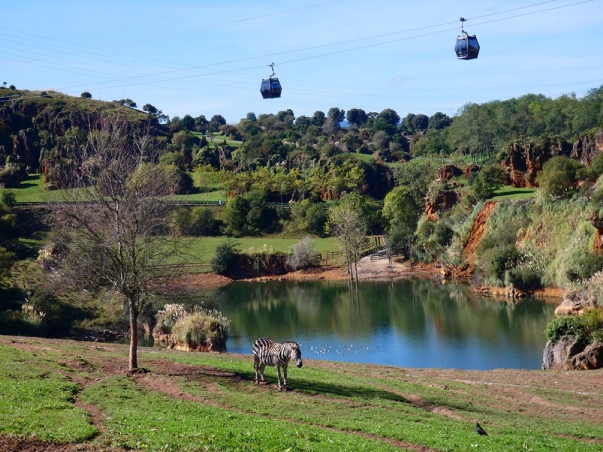 Place Cabárceno