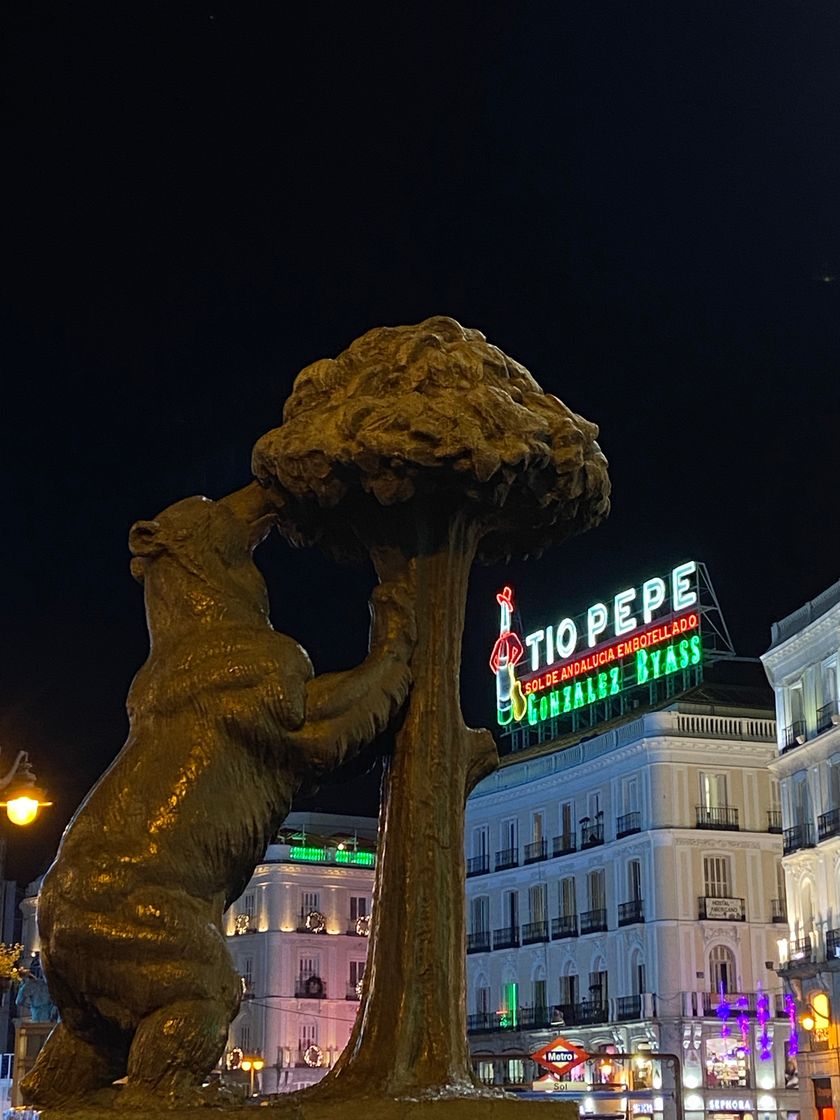 Place Plaza Puerta del Sol