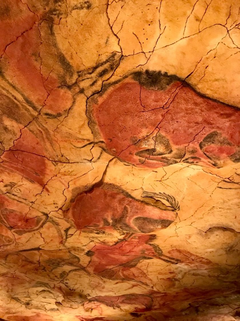 Place Cuevas de Altamira