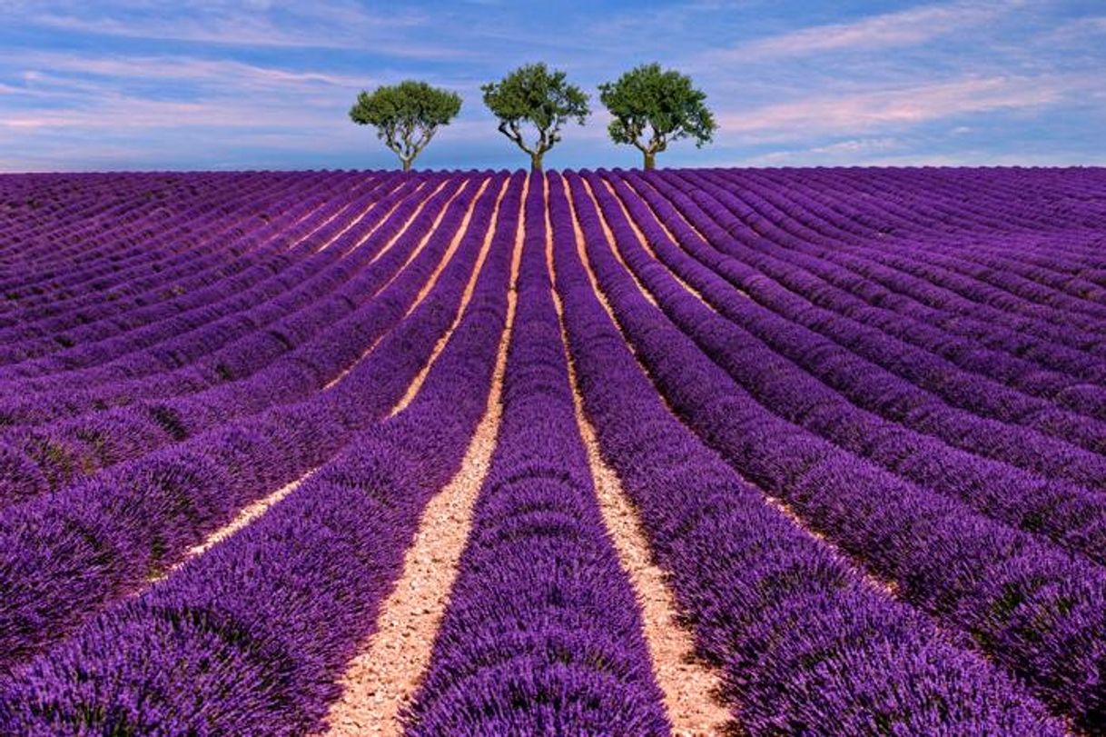 Place Provence