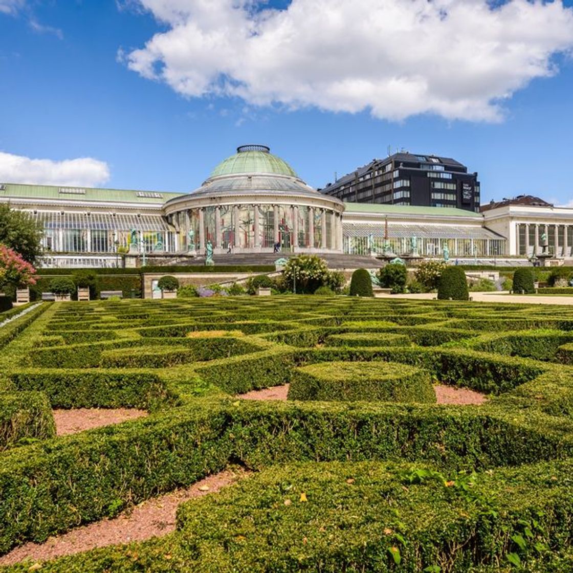 Place Jardín Botánico de Bruselas