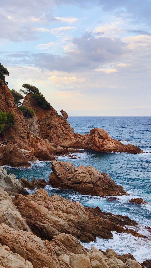 Place Cala Sant Francesc