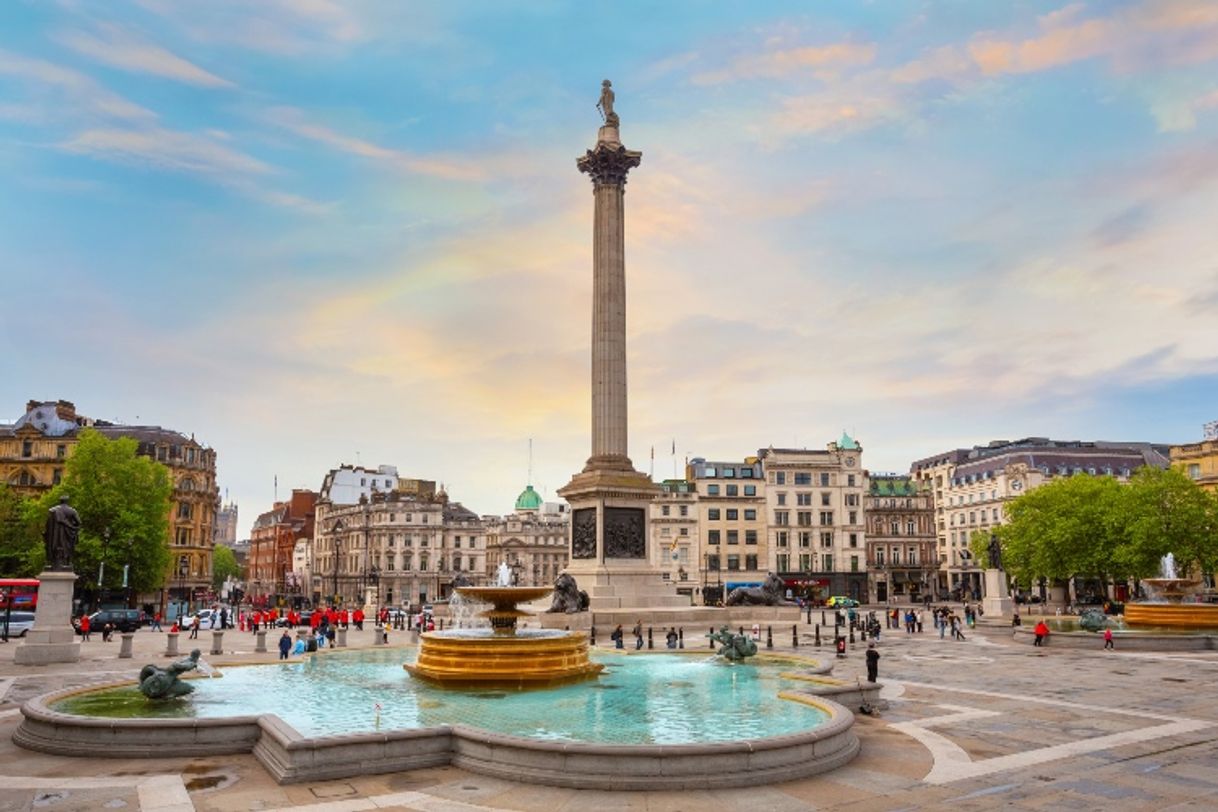 Lugar Nelson's Column