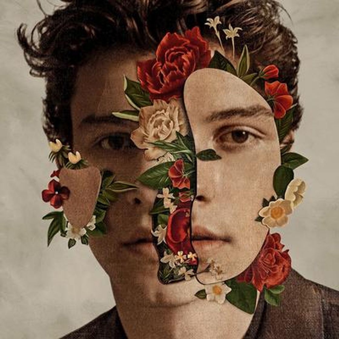 Moda Shawn Mendes: The Album