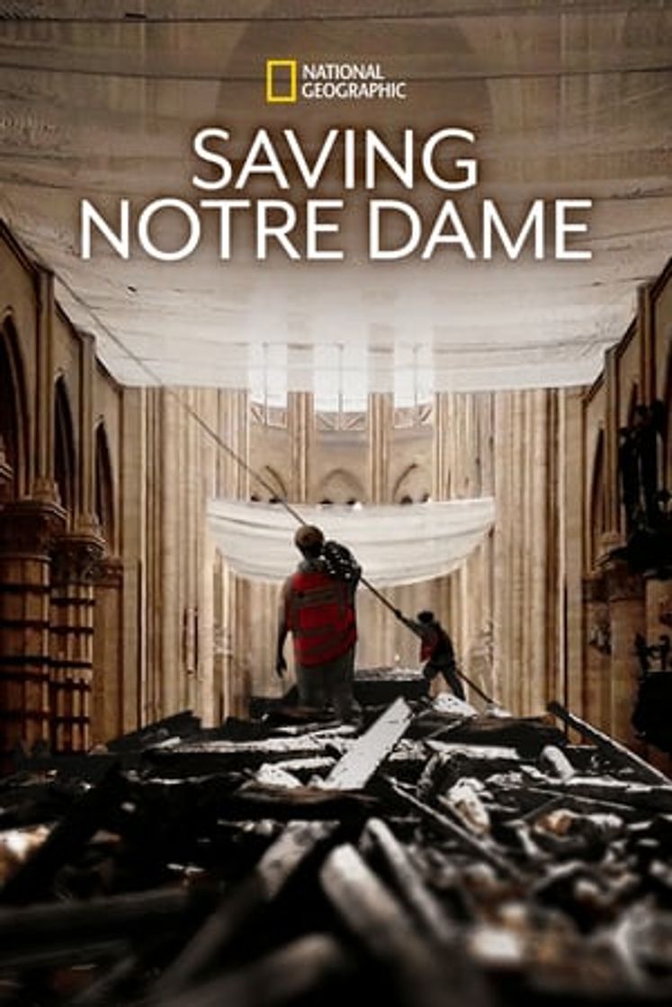 Película Salvar Notre-Dame