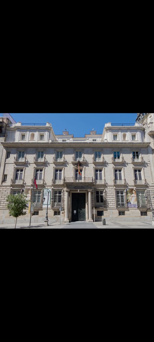 Lugar Real Academia de Bellas Artes de San Fernando