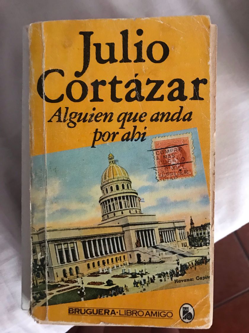 Book Alguien que anda por ahí 