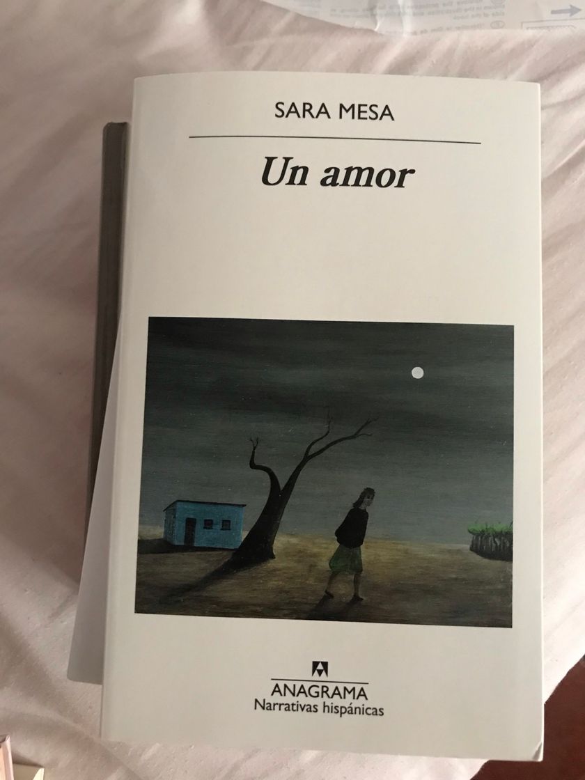 Book Un amor 