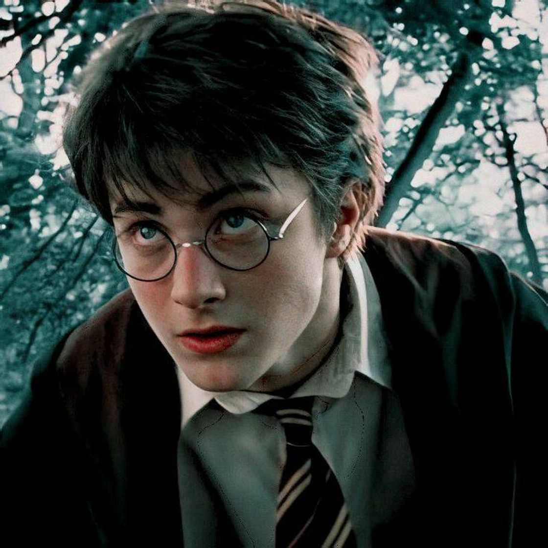 Fashion icon Harry Potter 