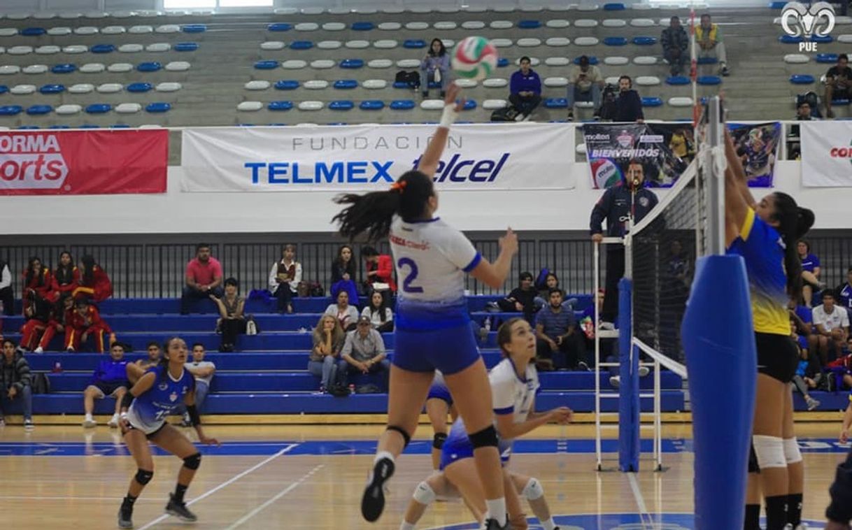 Lugar Voleibol