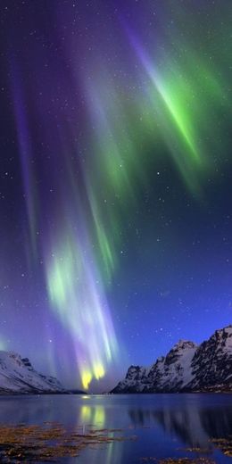 Aurora Boreal