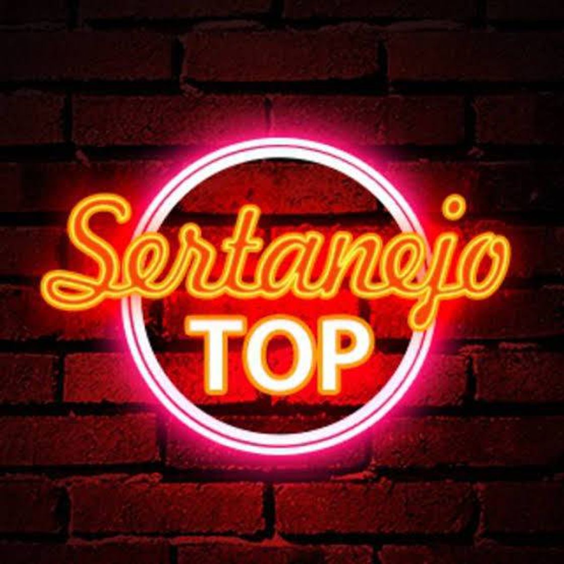 Canción Sertanejo Universitário 2021 - Sertanejo 2021 Musicas 