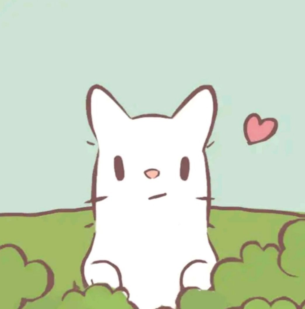App Gatos e sopa