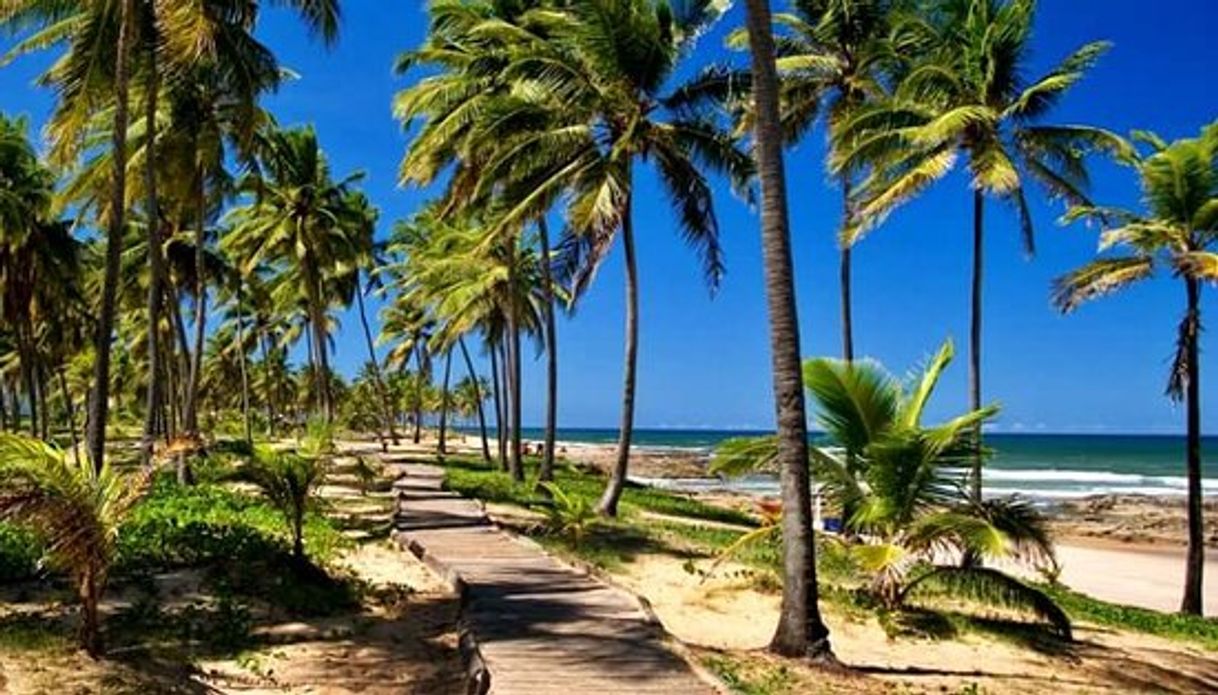 Lugar Praia do Flamengo