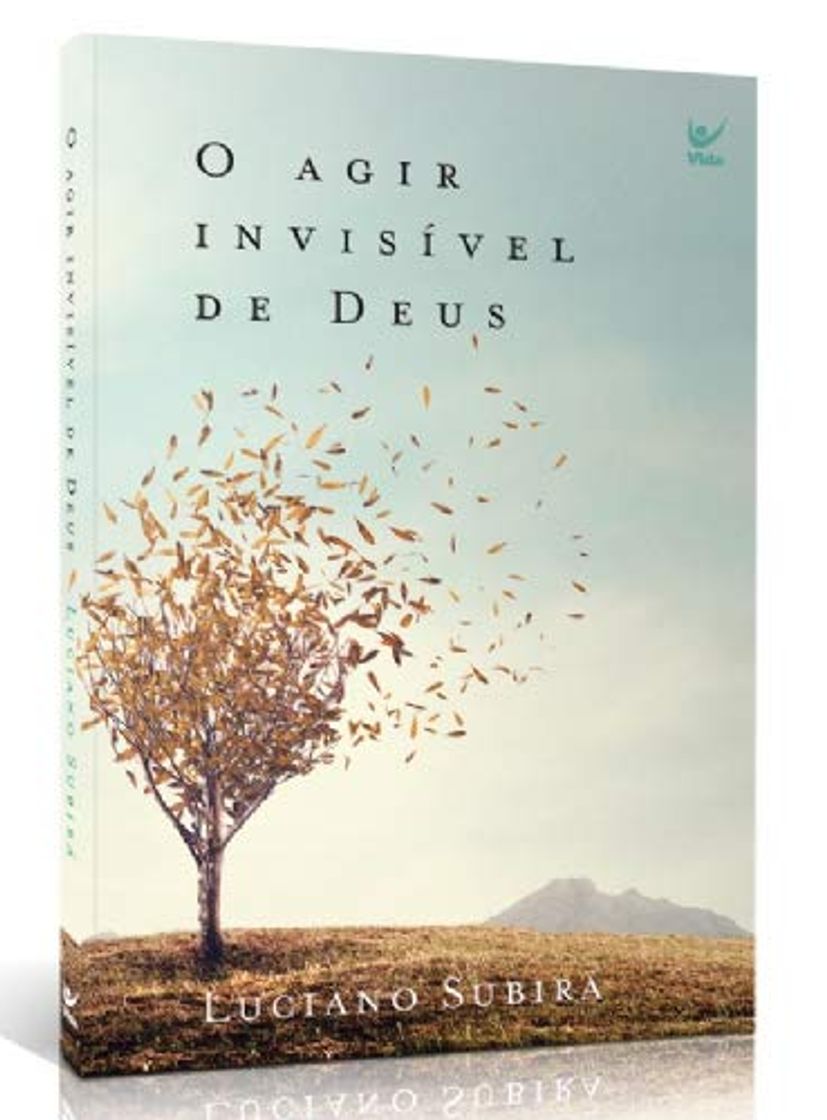 Libro O Agir Invisivel de Deus