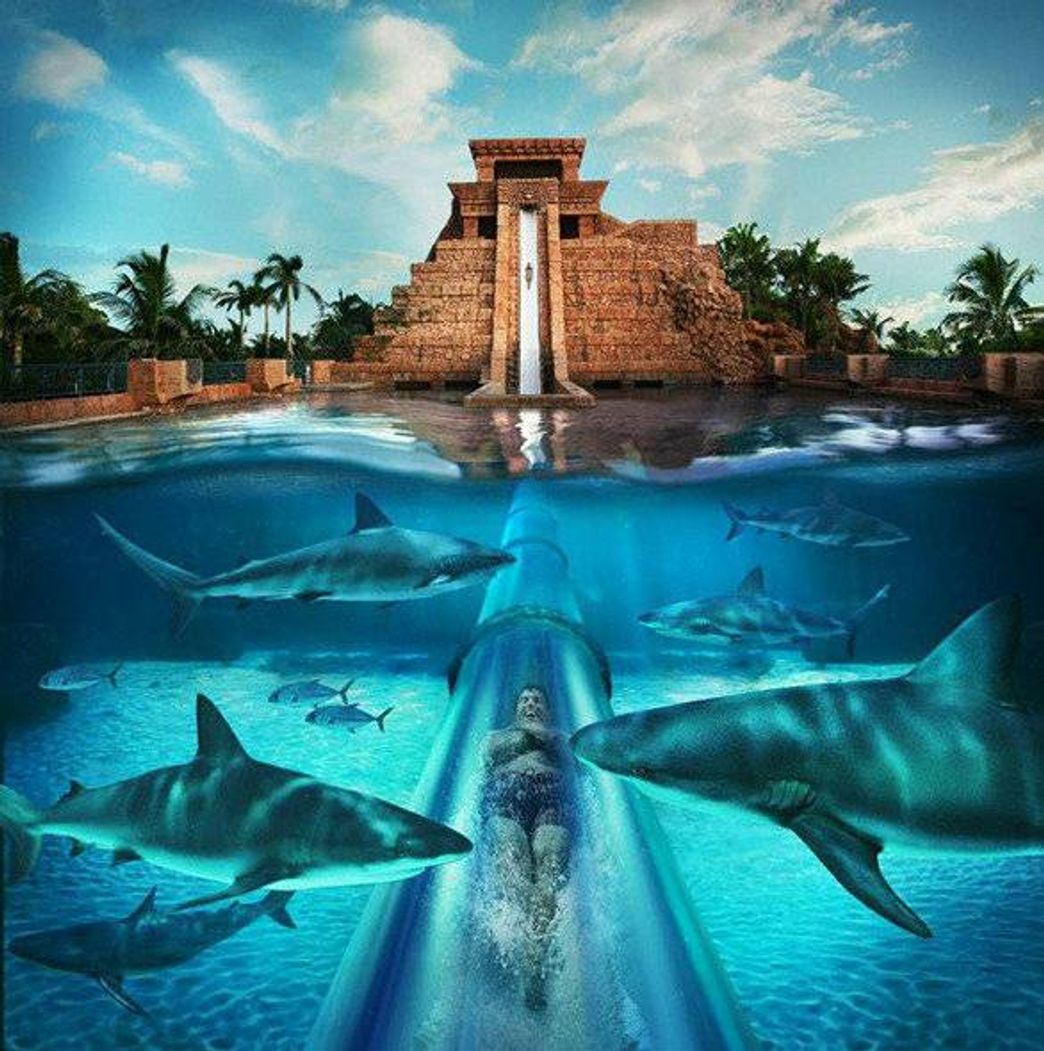 Lugar Siam Park
