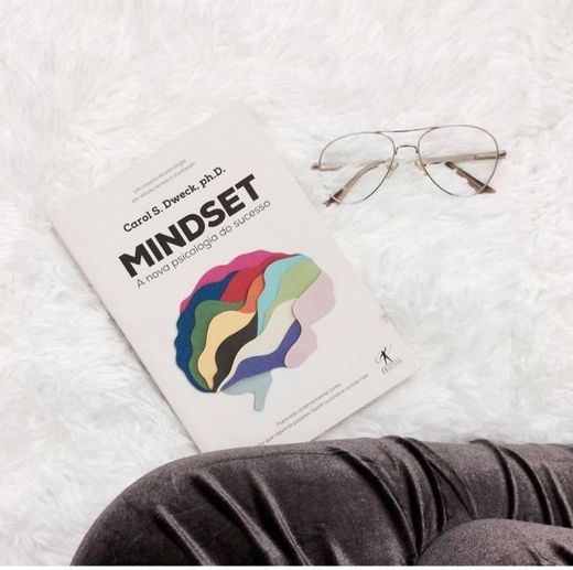 Mindset: A nova psicólogia do sucesso
