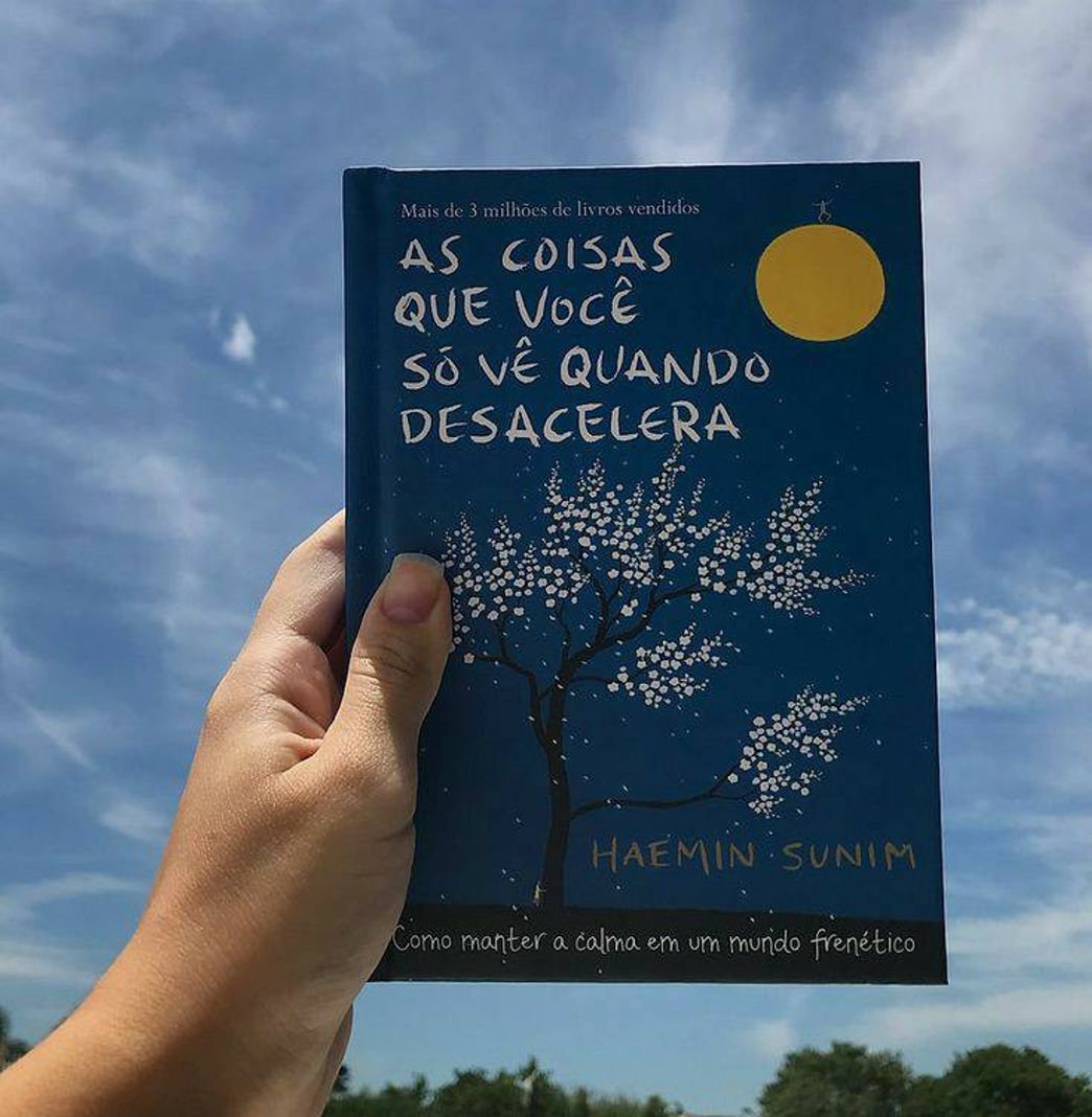 Libro As Coisas que Você Só Vê Quando Desacelera