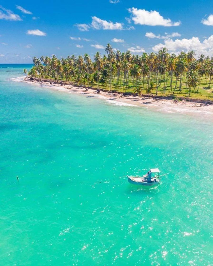 Fashion Maceió AL ❤️