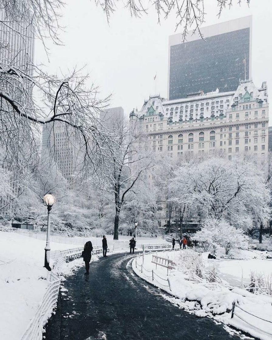 Lugar Nueva York