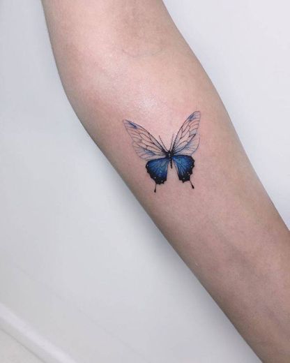 Tatto borboleta 