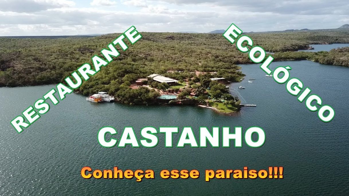 Restaurants Restaurante Ecológico Castanho