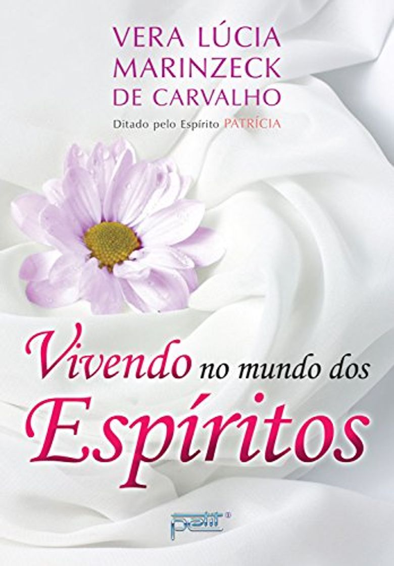 Book Vivendo no mundo dos espíritos 