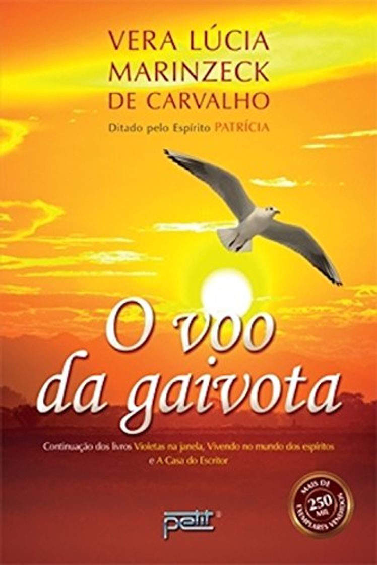 Book O voo da gaivota 