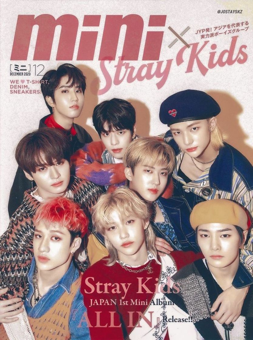 Moda Stray kids