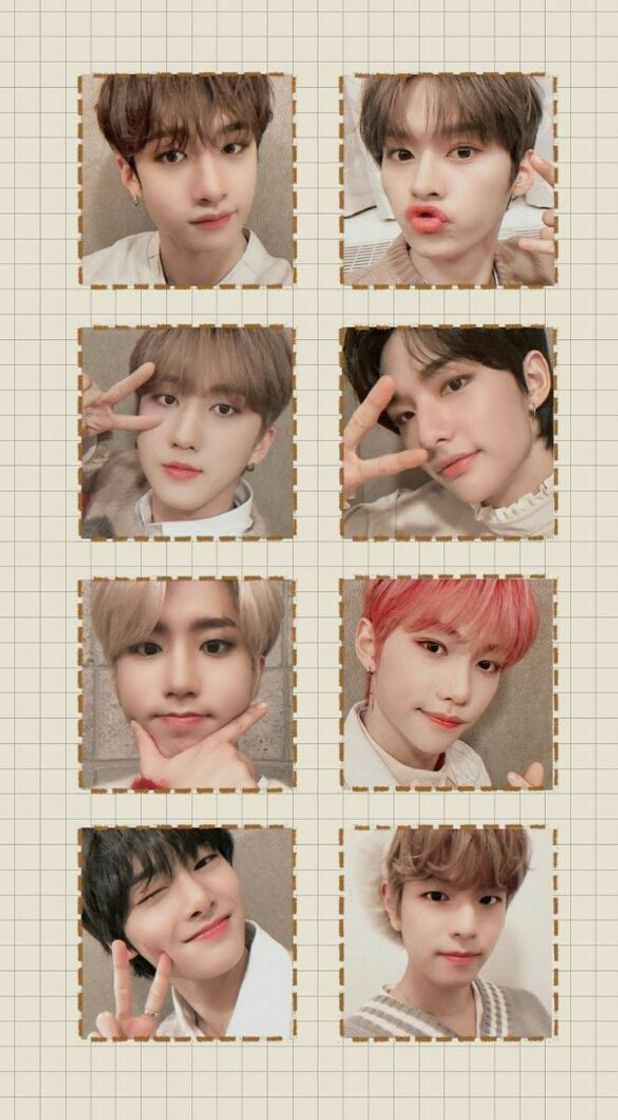 Moda Stray kids