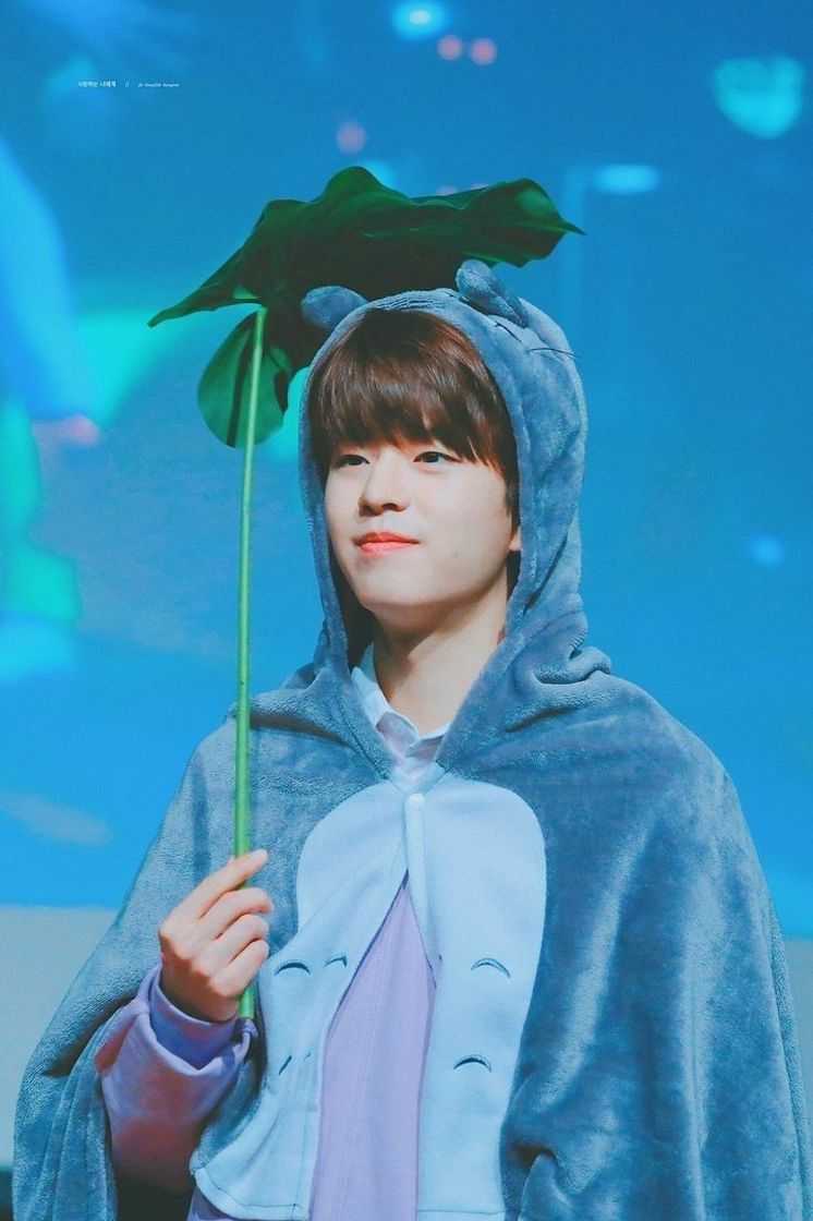 Moda Seungmin