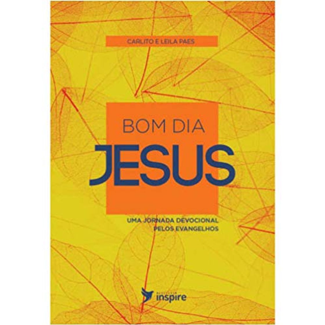 Libro BOM DIA JESUS NC