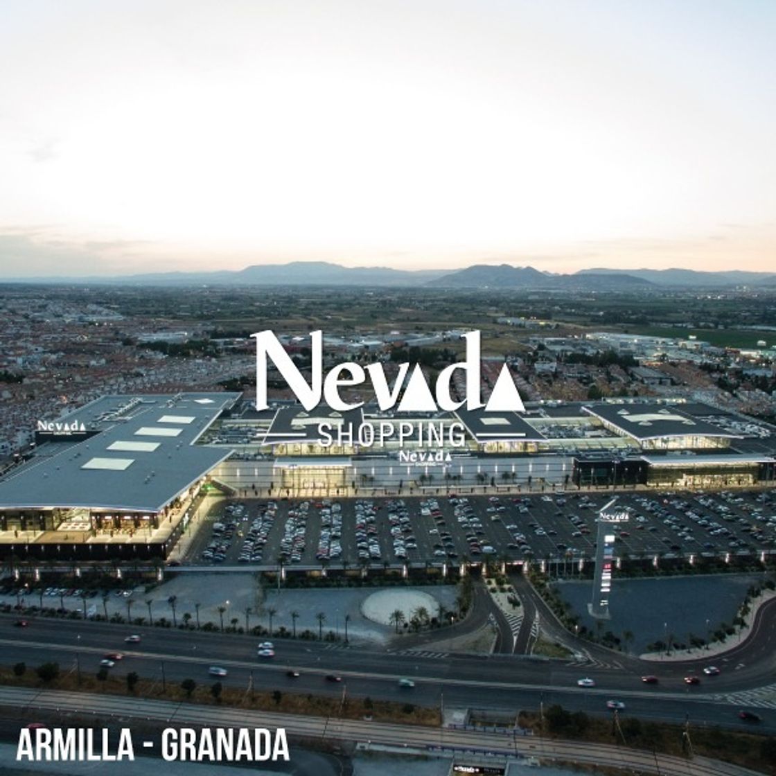 Place Nevada Shopping